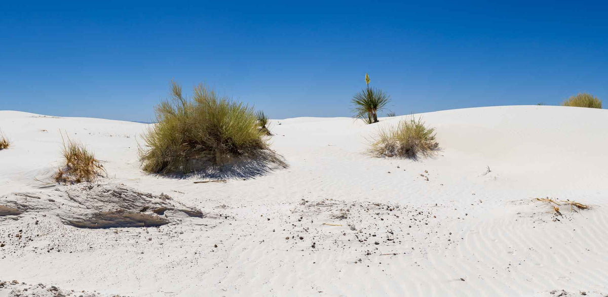 White Sands NP- New Mexico TR722 | National Parks Edition-Reptile Enclosure Backgrounds