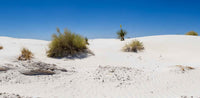 White Sands NP- New Mexico TR722 | National Parks Edition-Reptile Enclosure Backgrounds