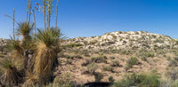 White Sands NP- New Mexico- Ecotone TR722 | National Parks Edition-Reptile Enclosure Backgrounds