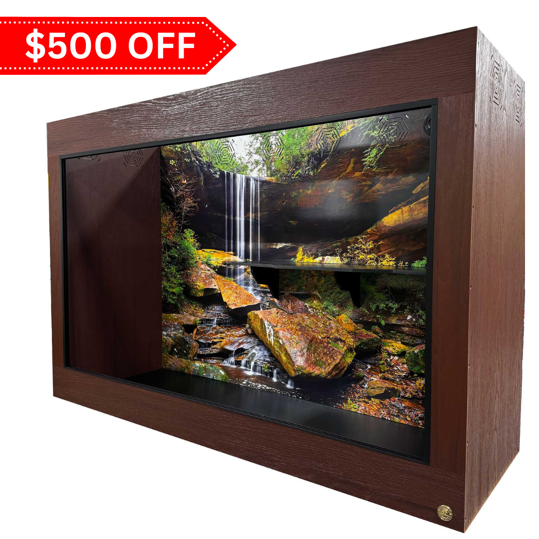 6'x2'x4' Reptile Enclosure & Matching Cabinet Stand | Ready to Ship