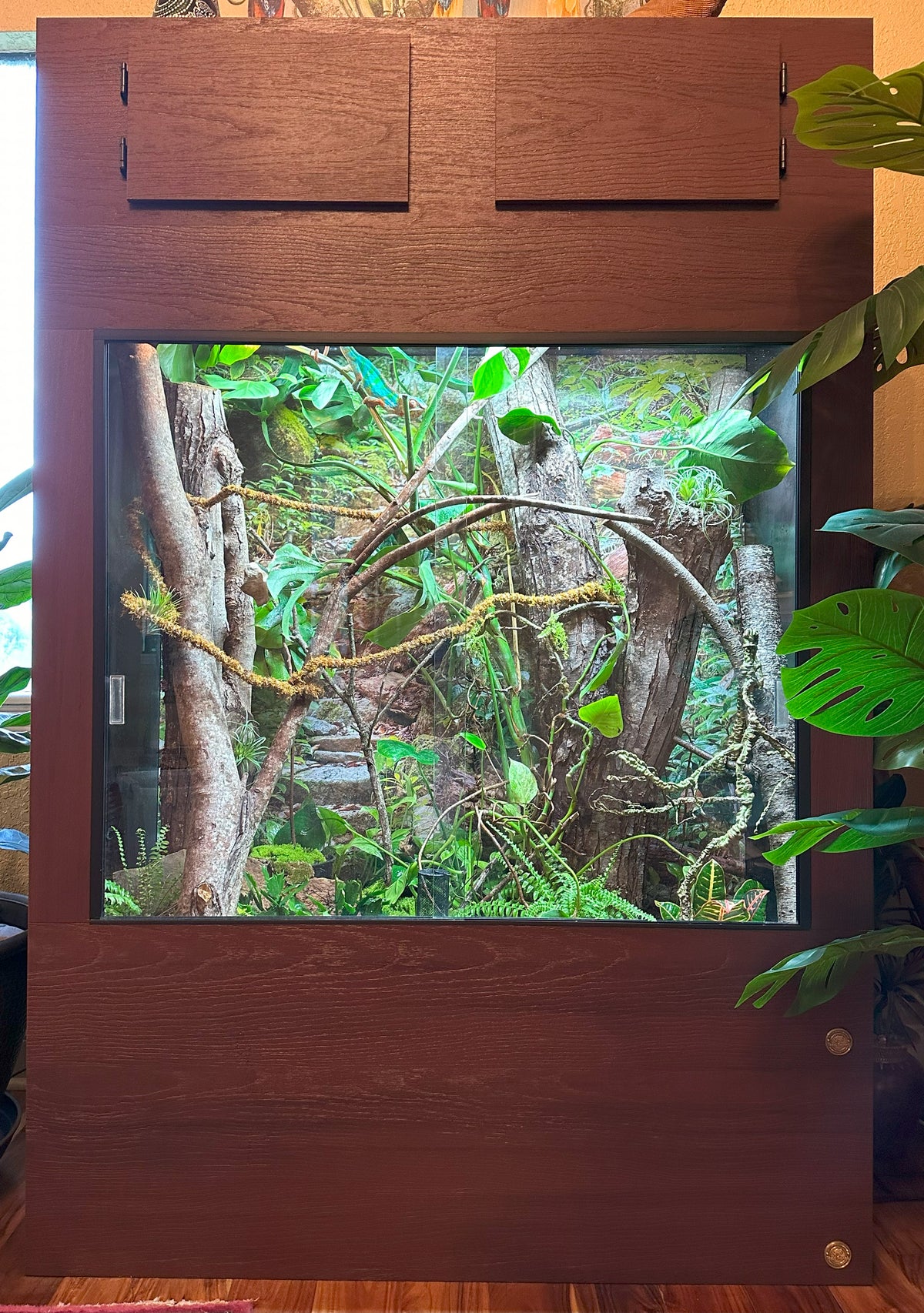 Toad Ranch Chameleon 5x2x1' Canopy Hood | 5-Foot Reptile Enclosure Hood – Toad Ranch