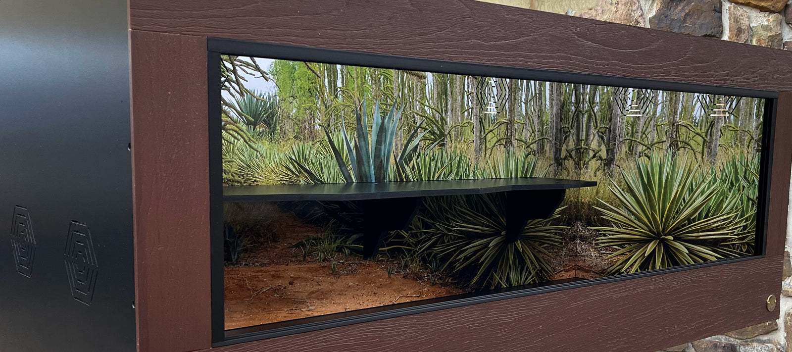 Quality Reptile Enclosures | Luxury Reptile Habitats by Toad Ranch
