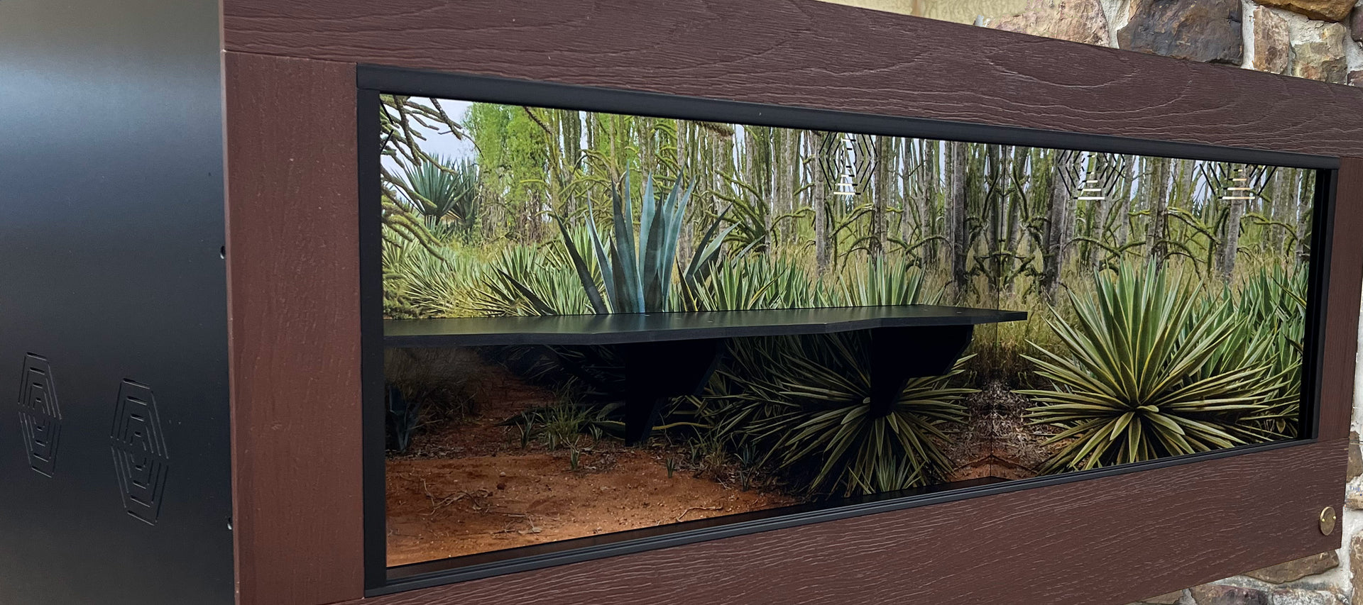 Quality Reptile Enclosures | Luxury Reptile Habitats by Toad Ranch