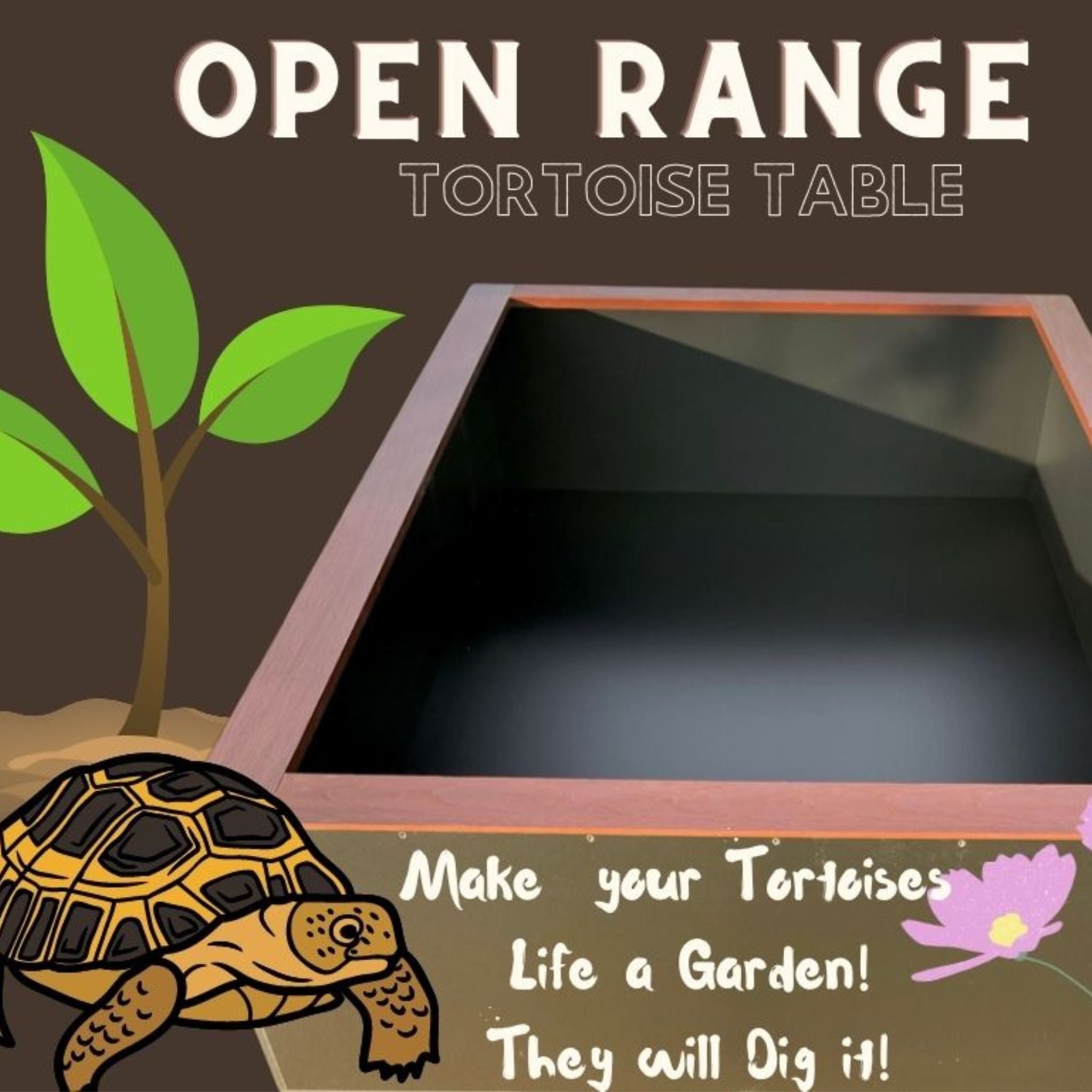 Plastic tortoise table sale