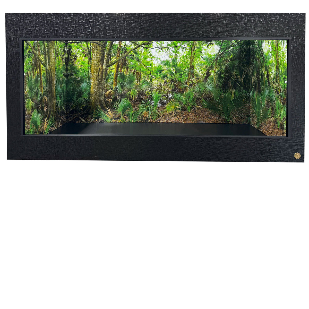 Florida-Palms | Reptile Enclosure Backgrounds