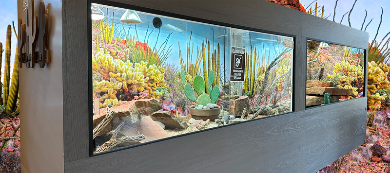 Custom Luxury Reptile Enclosures & Habitats | Toad Ranch USA
