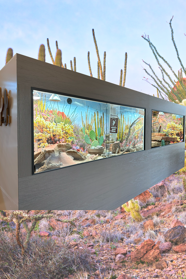 Custom Luxury Reptile Enclosures & Habitats | Toad Ranch USA