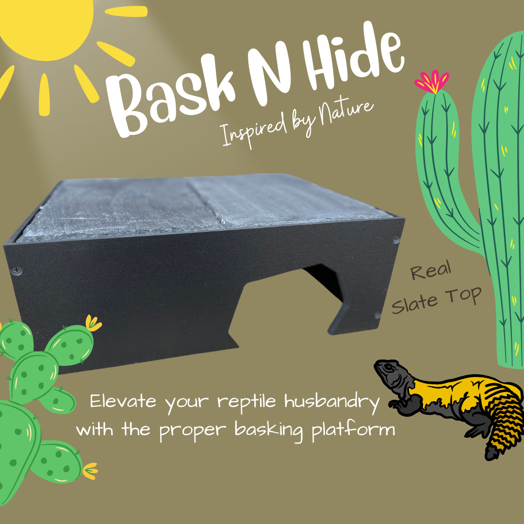 Bask-N-Hide | Reptile Basking Platform and Hide Box – Toad Ranch