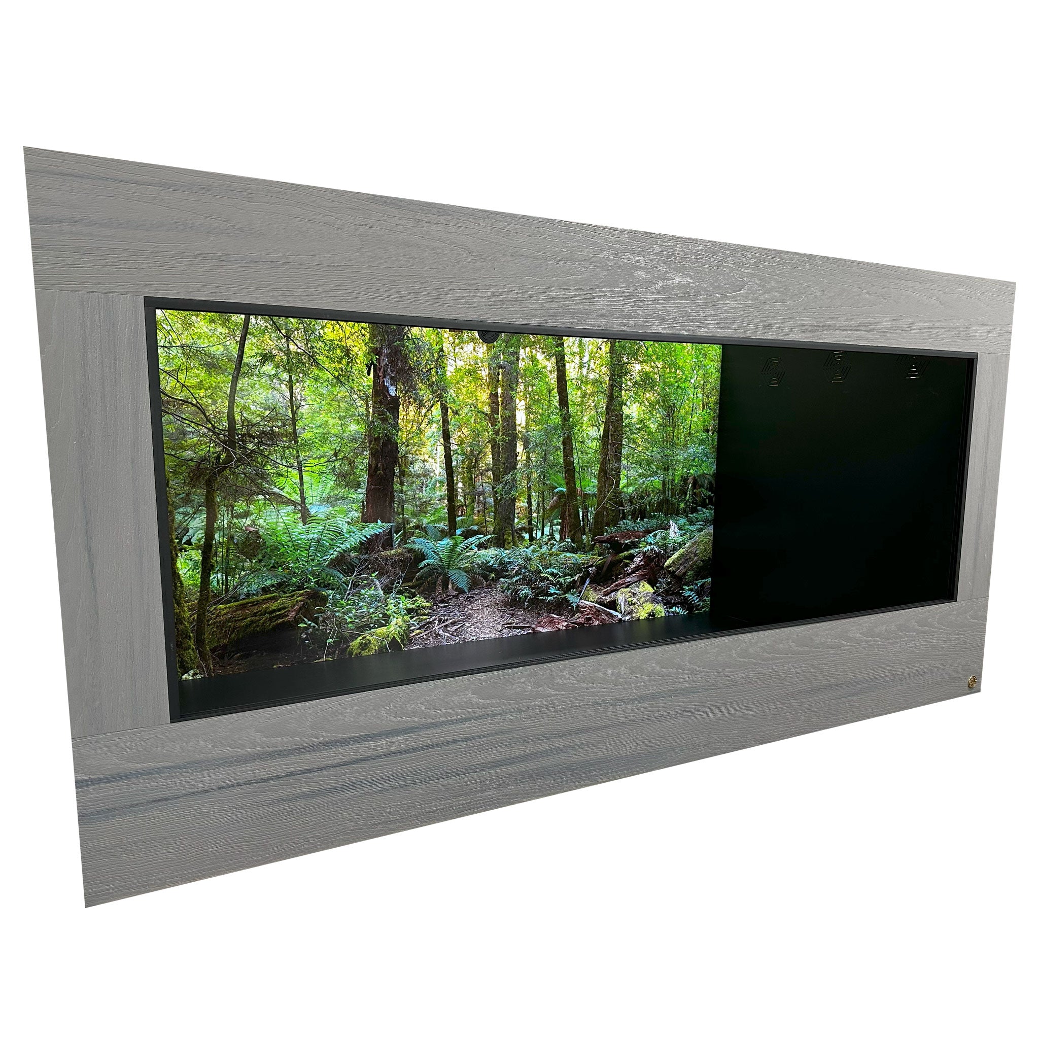 Wall mounted reptile clearance enclosure