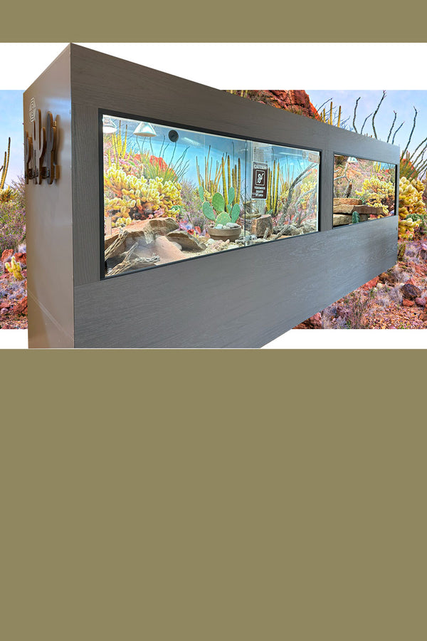 Quality Reptile Enclosures | Luxury Reptile Habitats by Toad Ranch