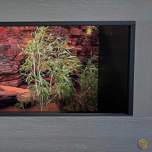 Custom Luxury Reptile Enclosures & Habitats | Toad Ranch USA