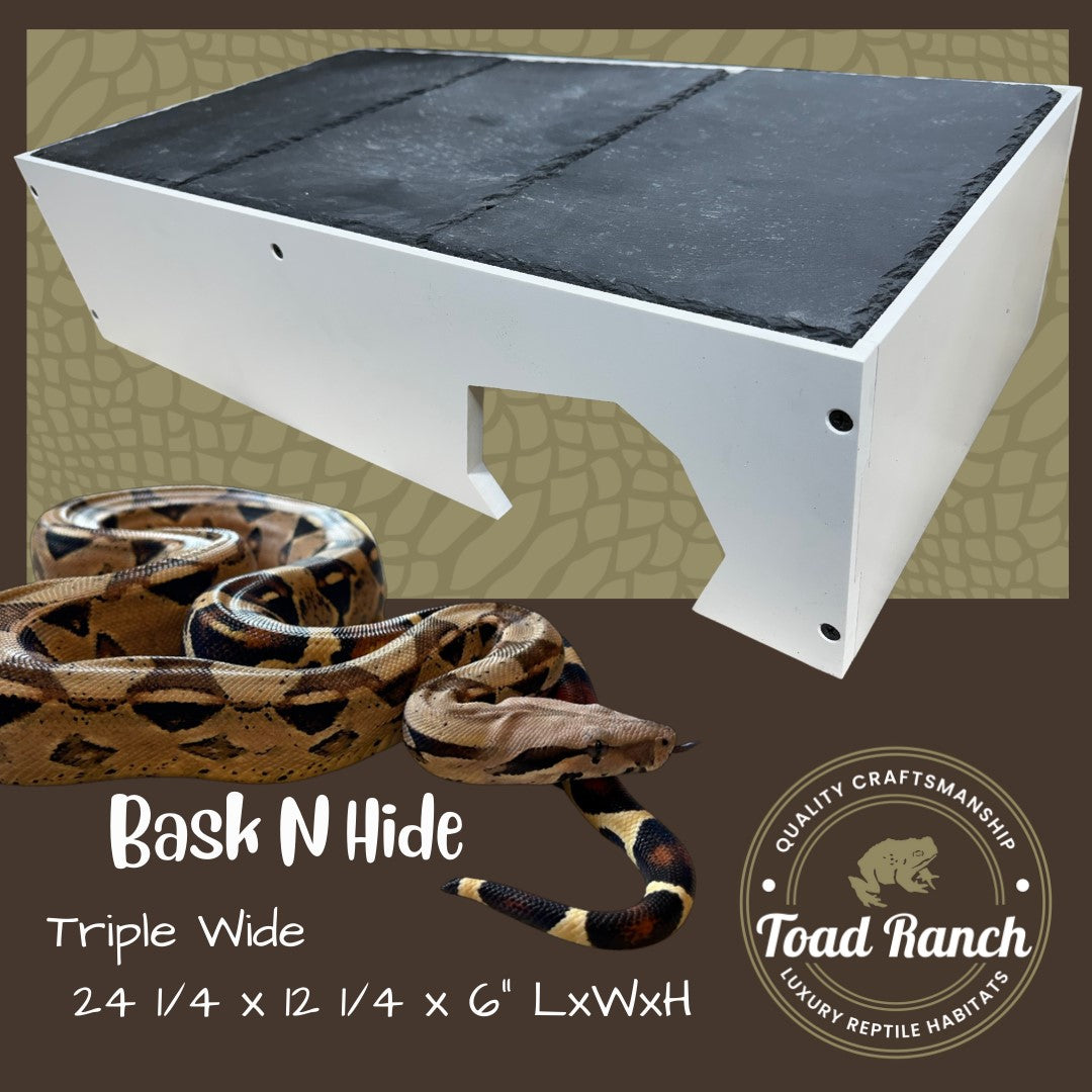 Bask-N-Hide | Reptile Basking Platform and Hide Box – Toad Ranch