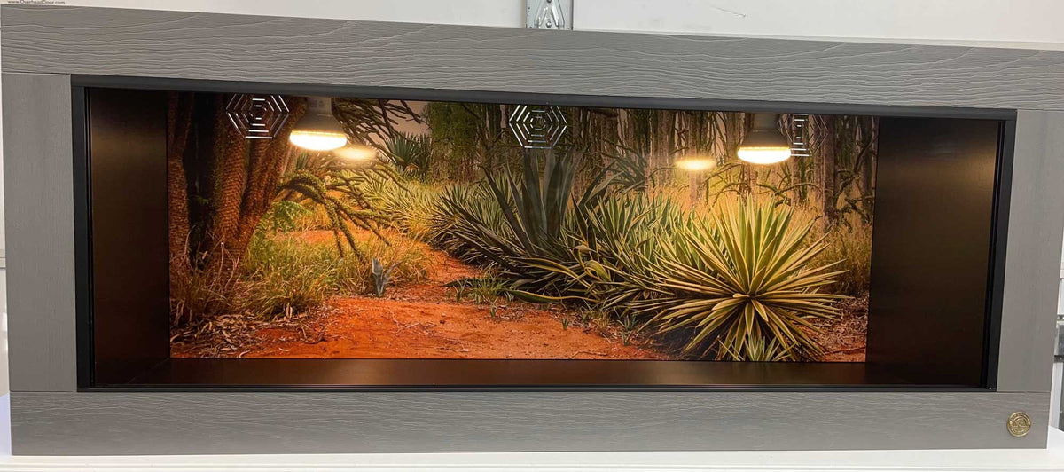 5-Foot Toad Ranch Reptile Enclosure featured in Driftwood with Spiny Forest Destinations background. Includes Standard Vent & Light Fixture Placement.