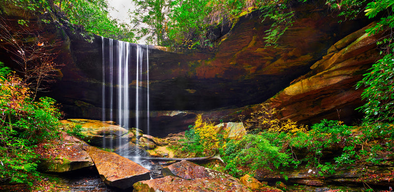 Reptile Enclosure Background featuring  Van Hook Fall in Daniel Boone National Forest Kentucky