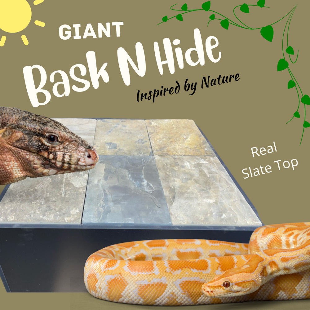 Giant Bask-N-Hide | Reptile Basking Platform and Hide Box