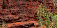 Australia- Karijini National Park  | Reptile Enclosure Backgrounds