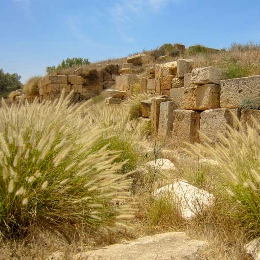 Libya-Ancient Roman Ruins | Reptile Enclosure Backgrounds