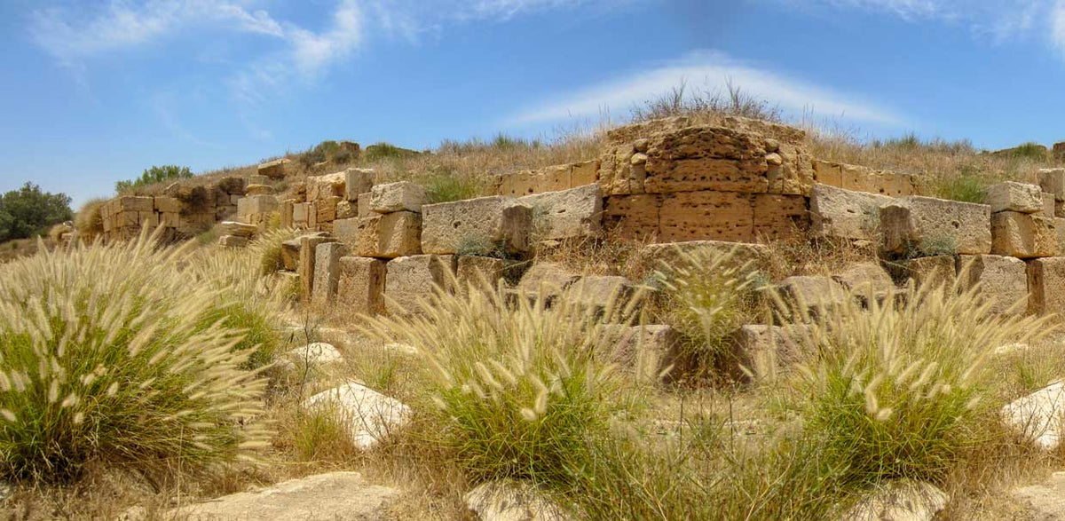 Destinations | Ancient Roman Ruins-Libya | Reptile Enclosure Backgrounds