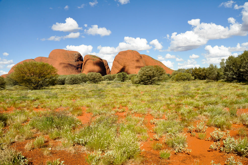 Destinations | Australian Desert-The Olgas | Reptile Enclosure Backgrounds