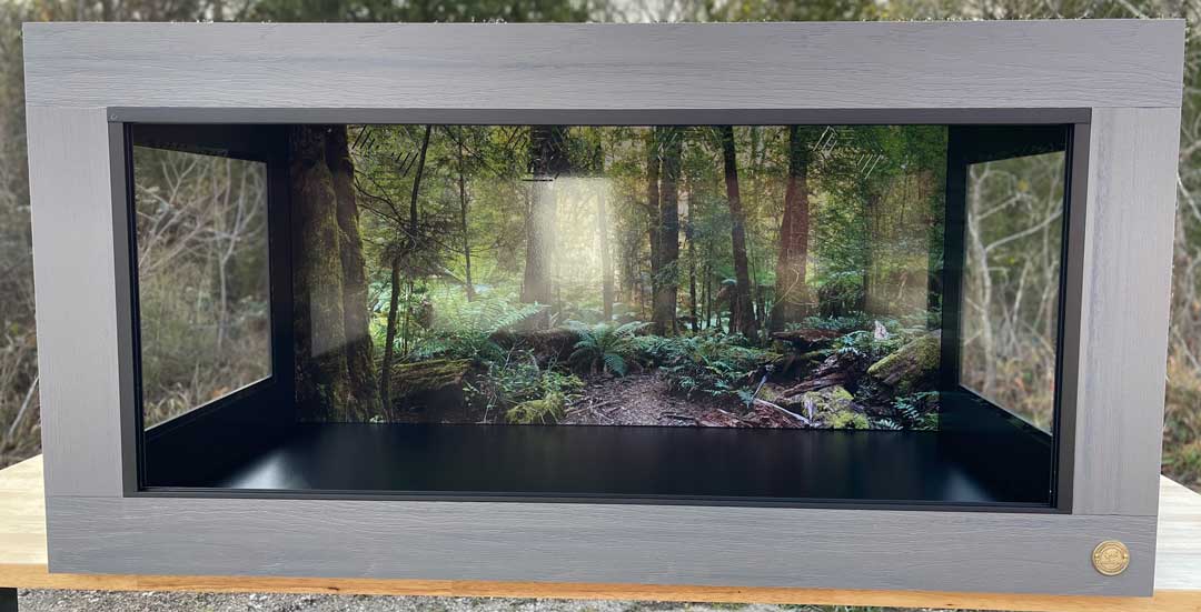 4x30x24 Reptile Enclosure in Driftwood on Black. (2) 15x15 Side windows paired with Australian Forest Destinations Background