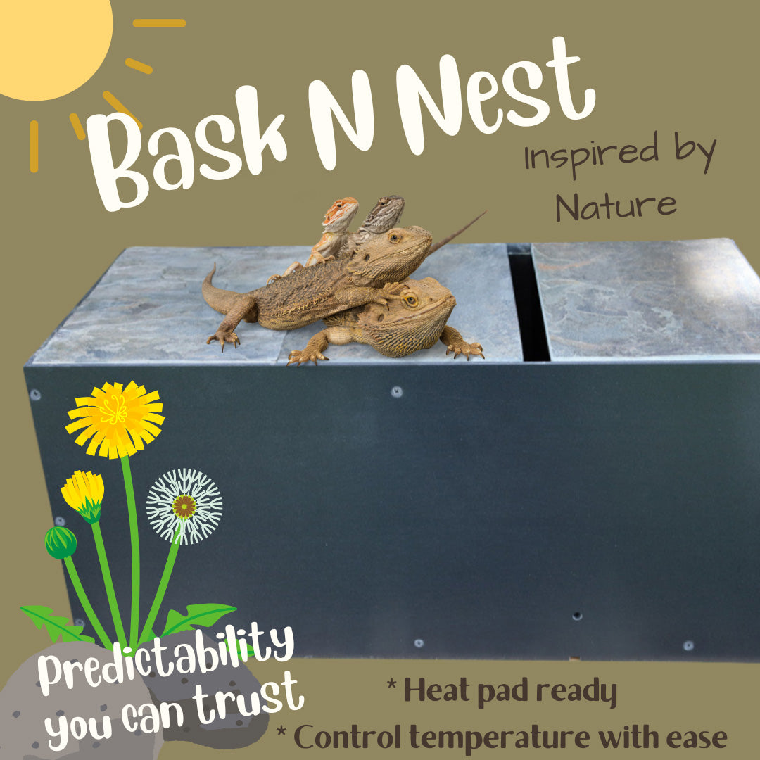 Bask-N-Nest | Reptile Nest Box | Reptile Basking Platform