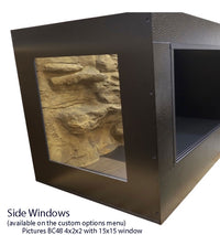 reptile enclosure with side windows featuring Black Dragon paired with Universal Rocks